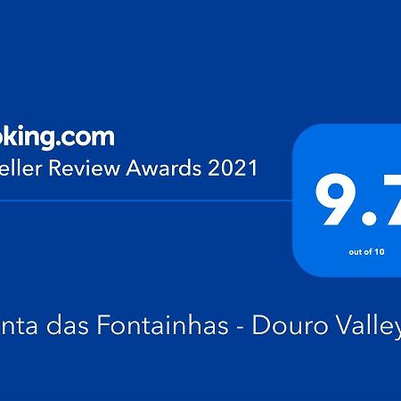 타부아코 Quinta Das Fontainhas - Douro Valley 빌라 외부 사진