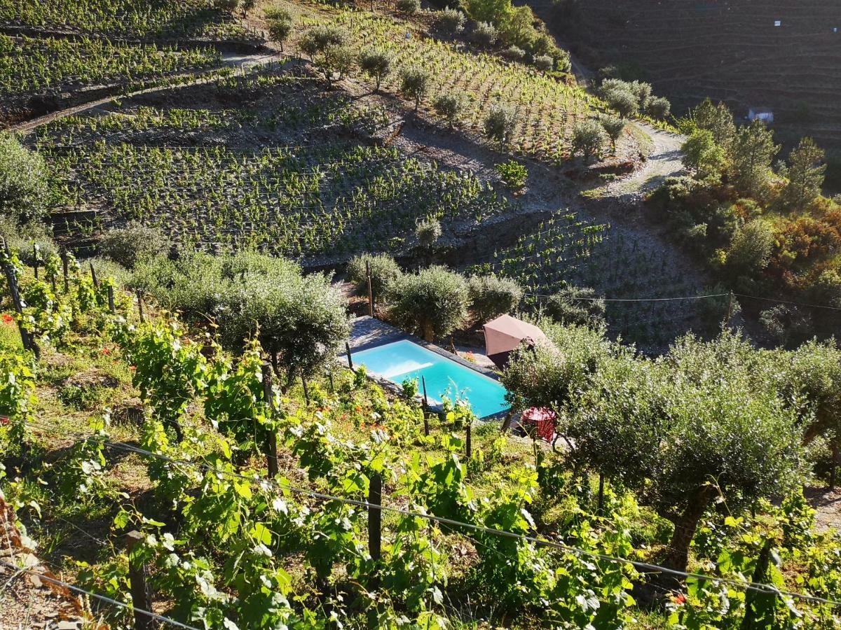타부아코 Quinta Das Fontainhas - Douro Valley 빌라 외부 사진