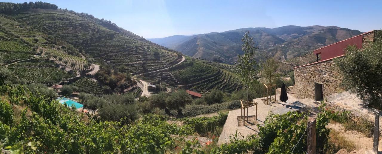 타부아코 Quinta Das Fontainhas - Douro Valley 빌라 외부 사진
