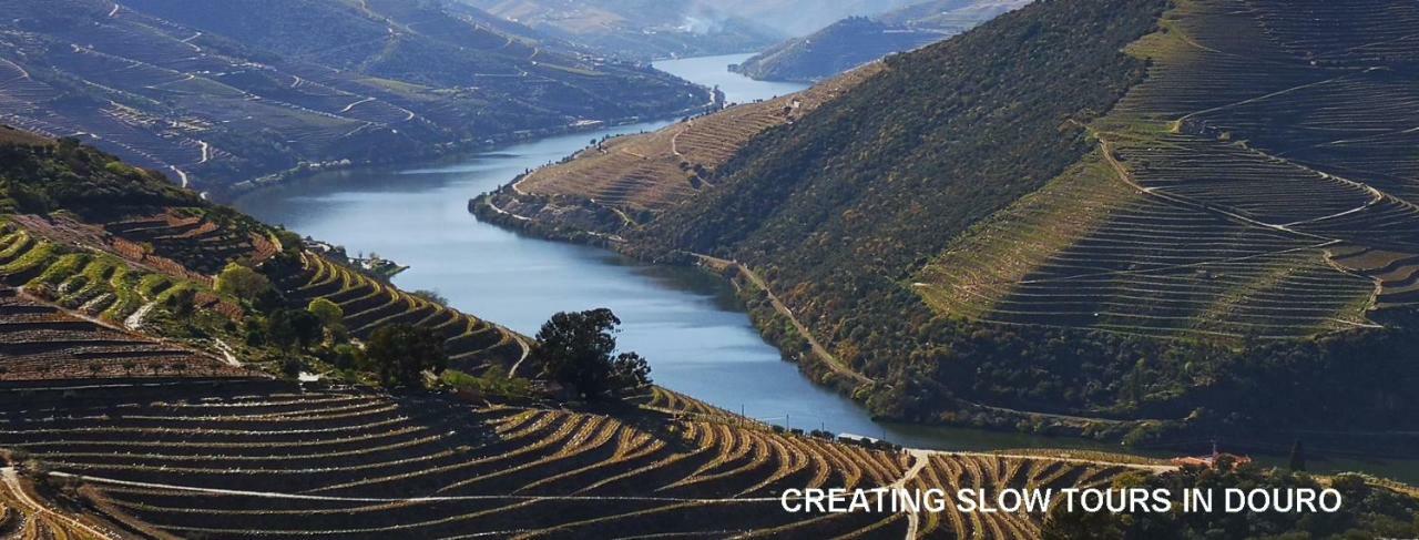 타부아코 Quinta Das Fontainhas - Douro Valley 빌라 외부 사진