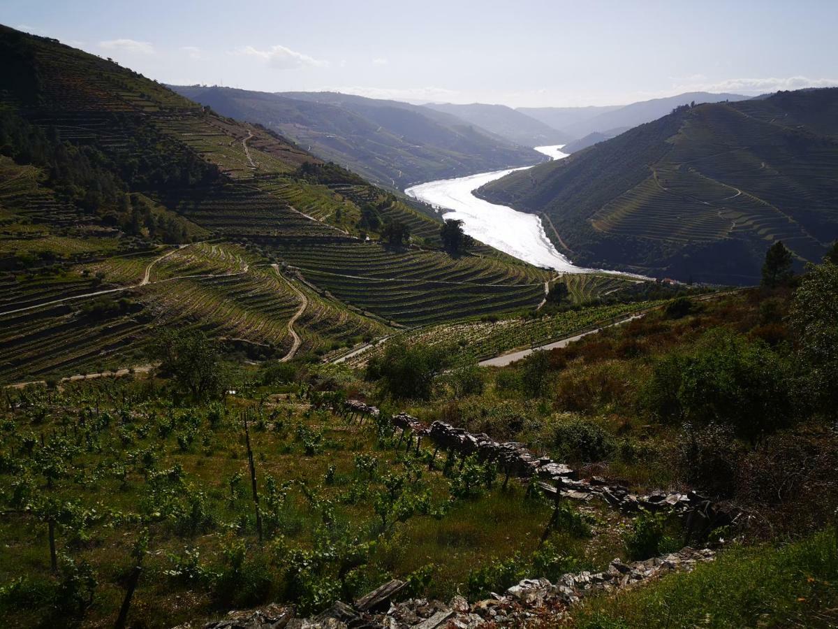 타부아코 Quinta Das Fontainhas - Douro Valley 빌라 외부 사진